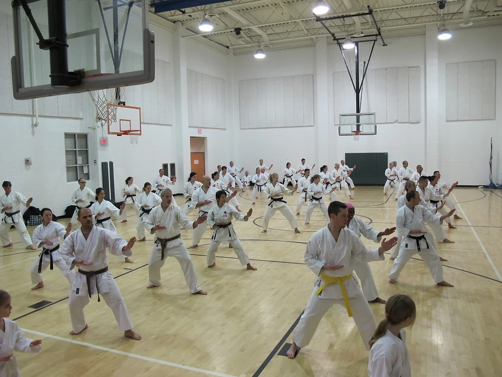 JKA Virginia karate group